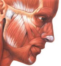 ćwiczenia mięśni twarzy